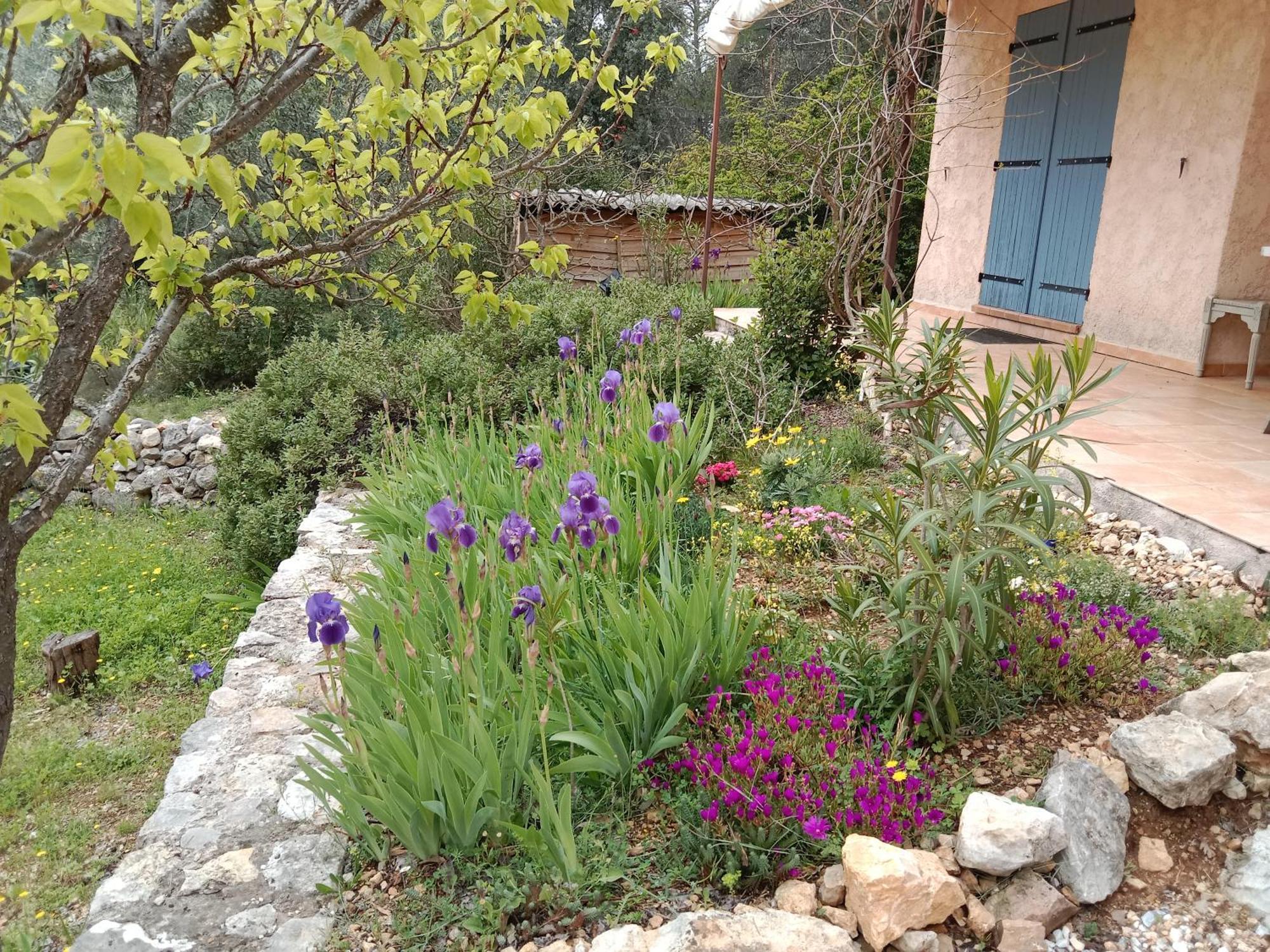 La Farigoulette Bed & Breakfast Lorgues Dış mekan fotoğraf